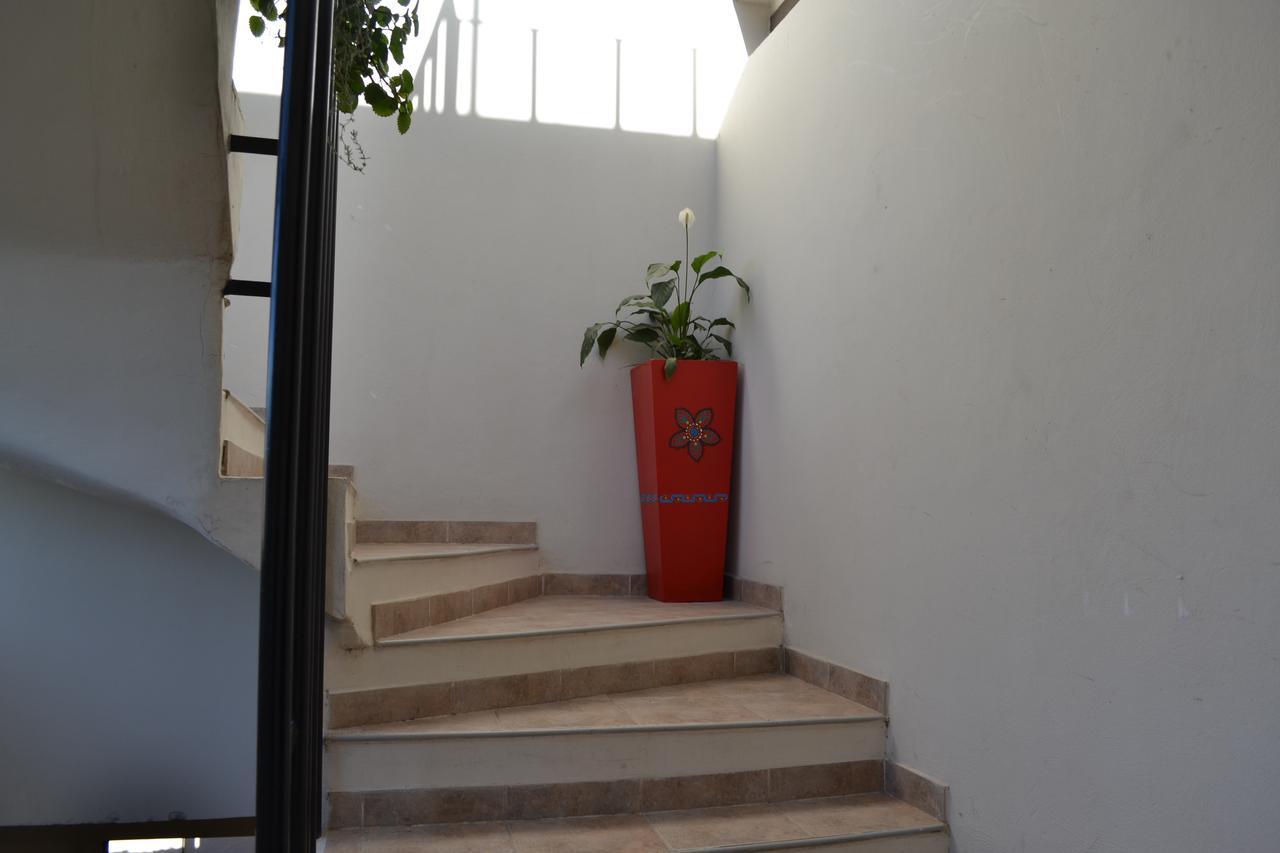 Guest House Jujuy San Salvador de Jujuy Bagian luar foto